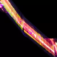 Дизайн TNL - Битое стекло №17 (фиолетовый) Дизайн TNL - Битое стекло №17 (фиолетовый)